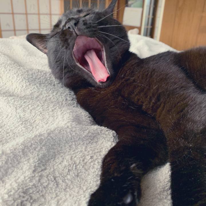 6d451494 4d68 41af aa6b c486aec5fc75 1564536615404