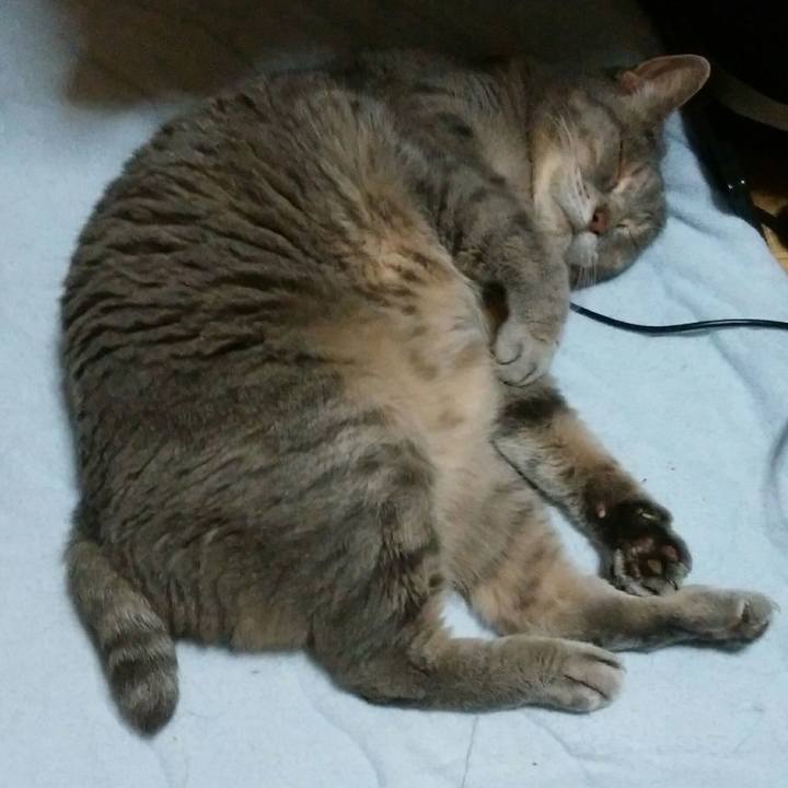 6d456303 da94 46c9 974d c274520589ff 1592131405231