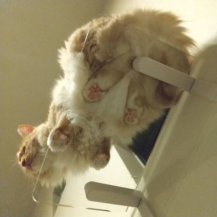 6d4582c7 64e1 4f0f b1b2 29ad03b6a9c5 1625486140839