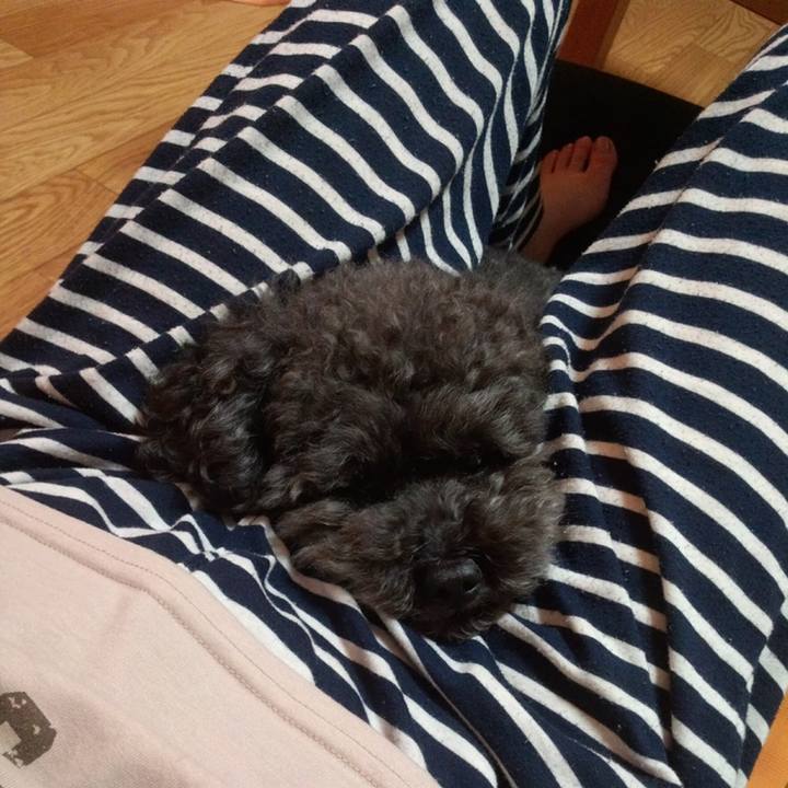 6d45995a 1487 4f13 93ca 31a5ca092cda 1558439992330