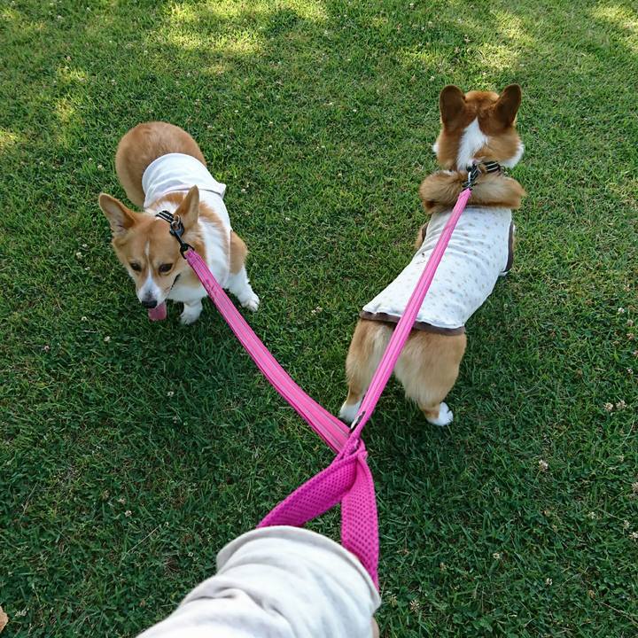 6d45ae39 85d1 4f82 b386 8806f5064651 1528157506929