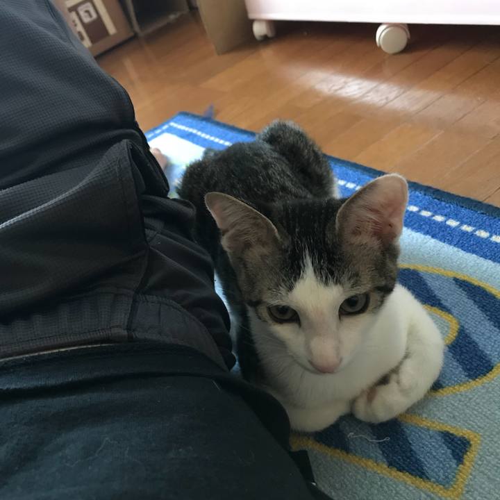 6d45b571 bacf 4583 a706 89d91cd94f5a 1533700110264