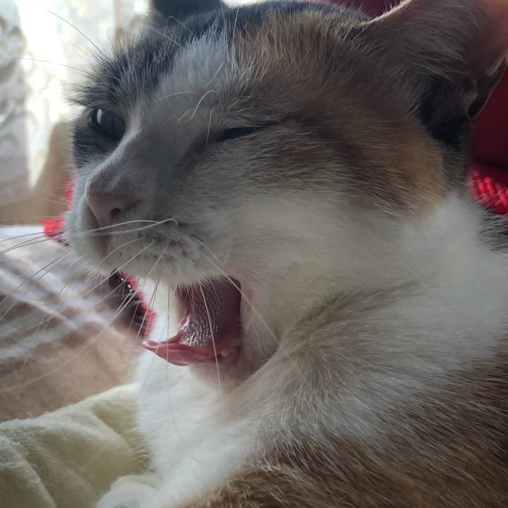 6d45bae4 407f 4b48 8d9f 03bddd6cdb6c 1606371247764