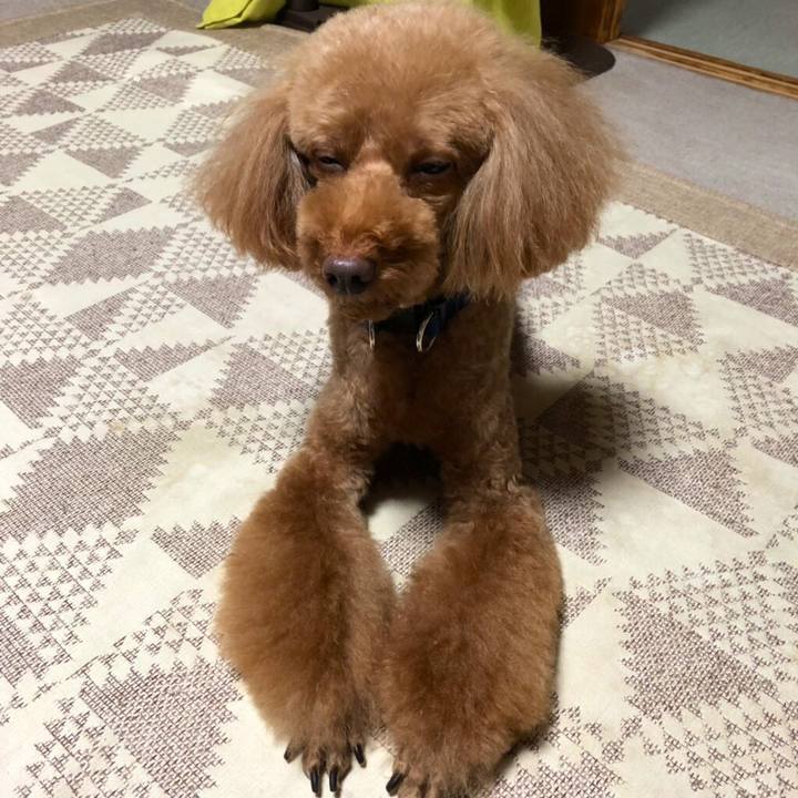 6d45bbb6 4e13 489e aca2 c22334e722b5 1565509554276