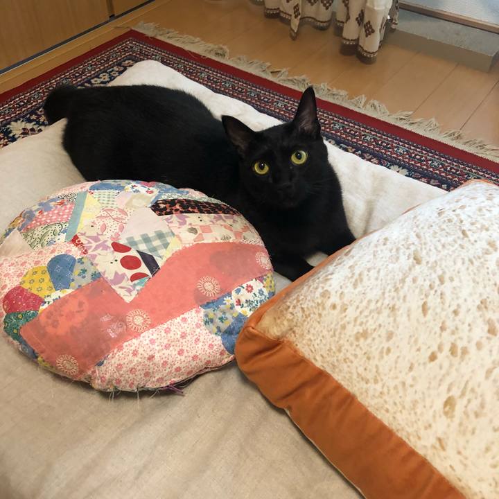 6d460f2e f270 4fe4 80a5 0474a830cec3 1541460556043