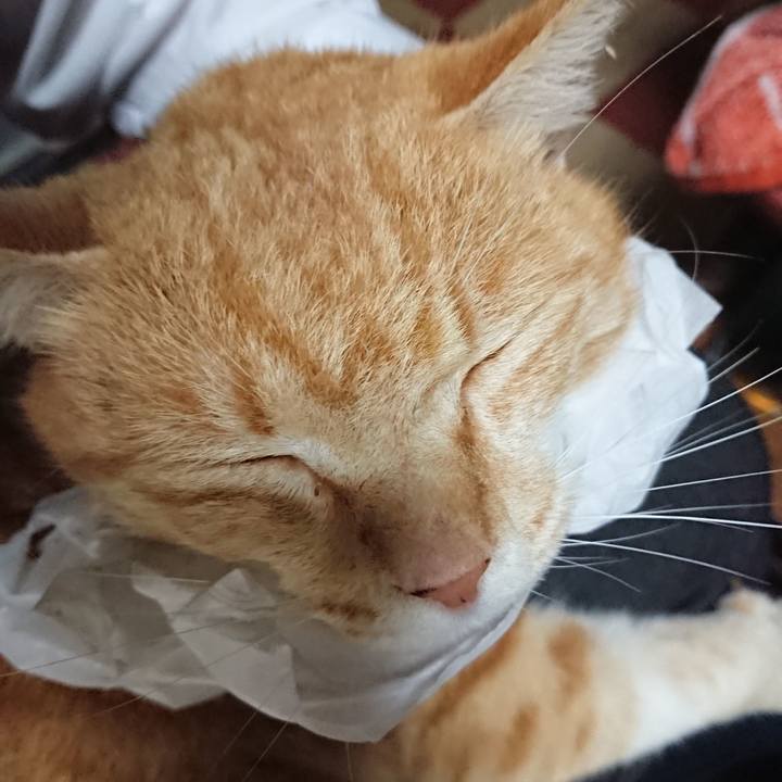 6d46385e c291 4db6 93cb 07ededb6b673 1585737332504