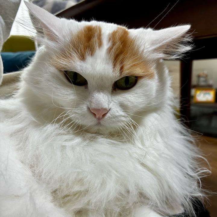 6d466afc 7901 4039 9c16 18f4818a709b 1773540101529