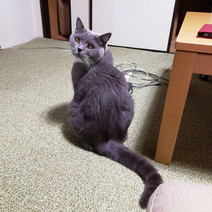 6d46774c 0a5e 4a96 8e42 372cdf396f76 1666871810719