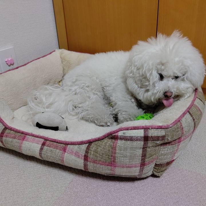 6d46cbc1 d6d1 4afa a1ac 4cfd5a4fa2c5 1616760823460