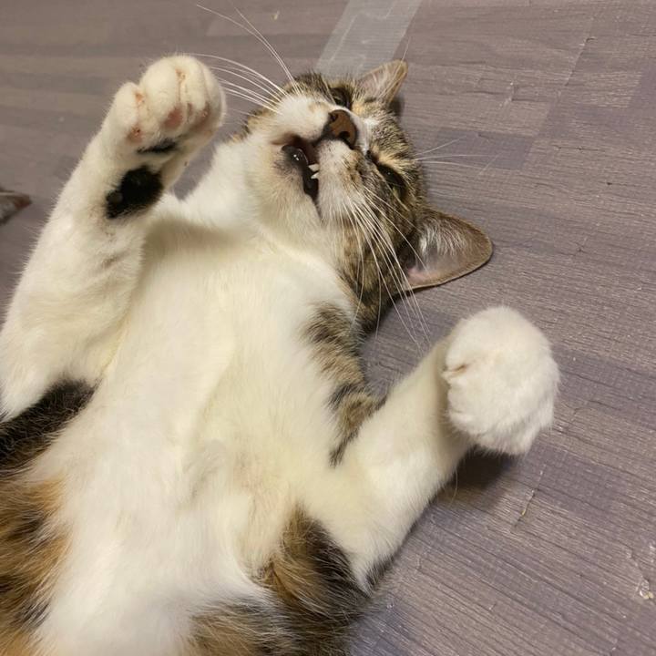 6d46d9c0 3cd5 4830 ad6c 8cae2e158d20 1623552032986