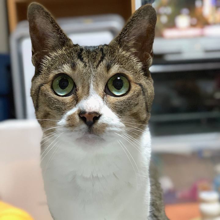 6d46e767 c8dc 40ee aca5 5a8ceb400fbe 1563583601095