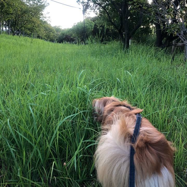 6d4708a7 3f55 4f3f 838e 17c8d4809f9a 1534712951794