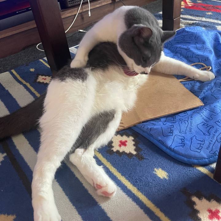 6d4708db f5bc 4900 81e2 e412b1e0f5f0 1690084903901