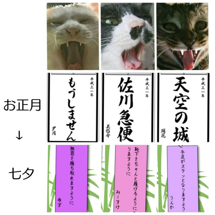 6d472df1 9bb0 4125 96b1 7eeb17723f48 1562497648230