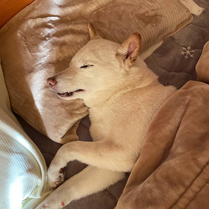 6d476be5 3e6e 4d7e bd0f f6f08d0fc279 1640908746342