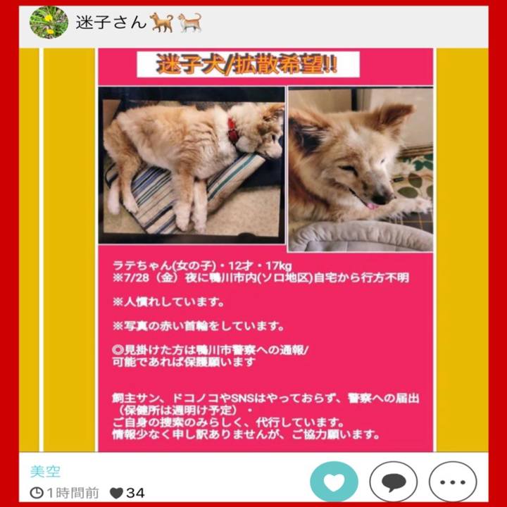 6d477049 c777 4fa5 93ce 7f44e61c56aa 1690682166615