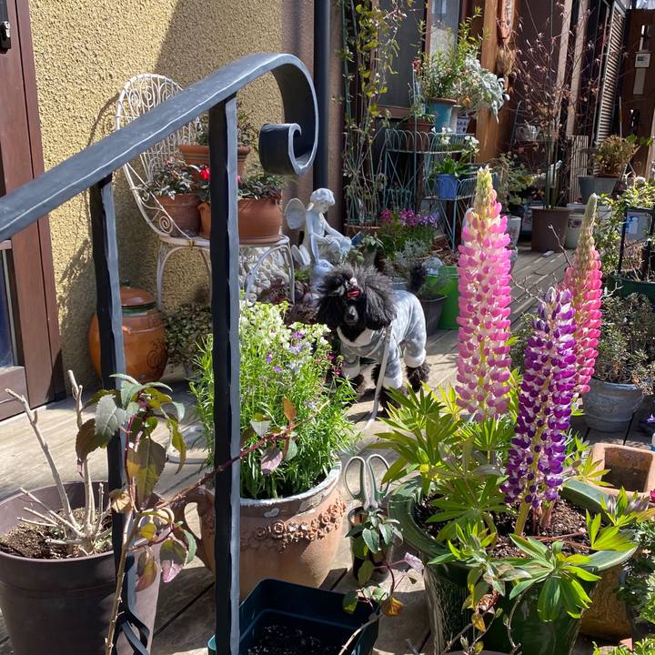 6d477945 97ae 47bc 8a28 9143b25373be 1646617737691