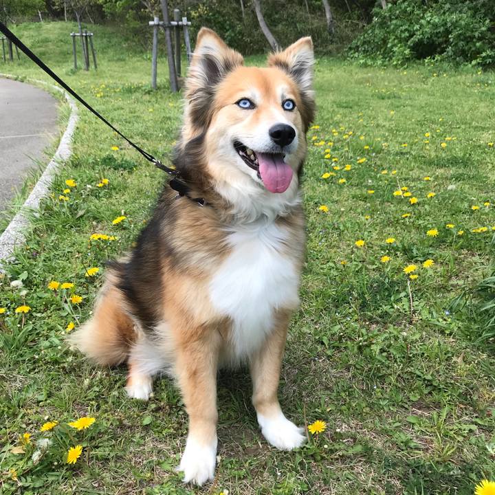 6d47b668 60ab 45ec a29a 5e6756573e21 1523167625422