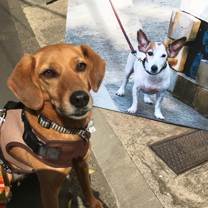 6d4815c8 9f95 4dd5 a348 47c7a7e87929 1524286481346