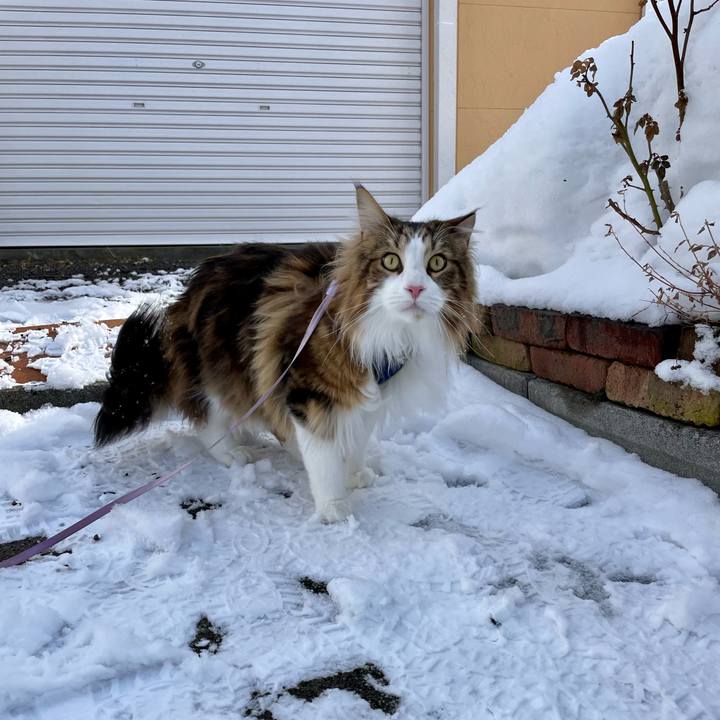 6d482553 1676 45e6 a855 425b5dfdf52a 1677114212044