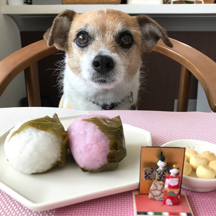 6d489f78 f4b3 42a0 9d71 6ceb49092648 1583215248129