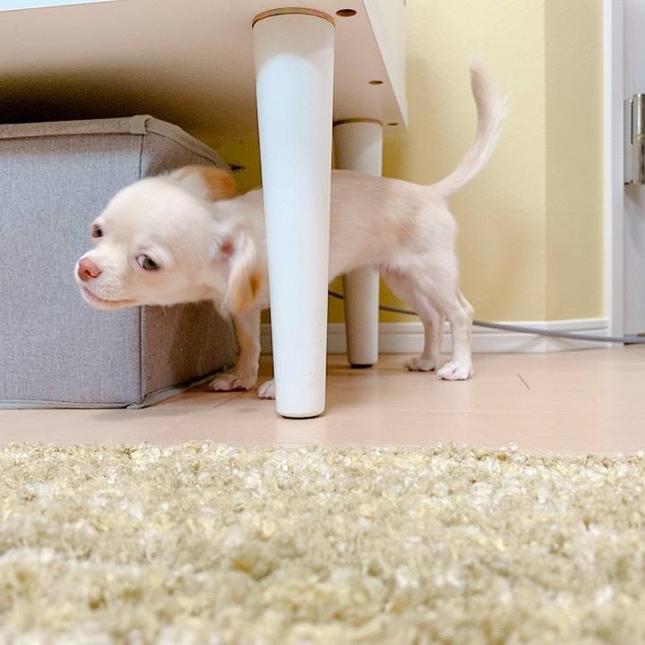 6d48aa8d 2c30 4931 b65b b7efbfba07a2 1592789098493