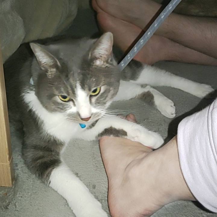 6d48c006 4d19 400a 88af d7f8b05746e2 1679833710502