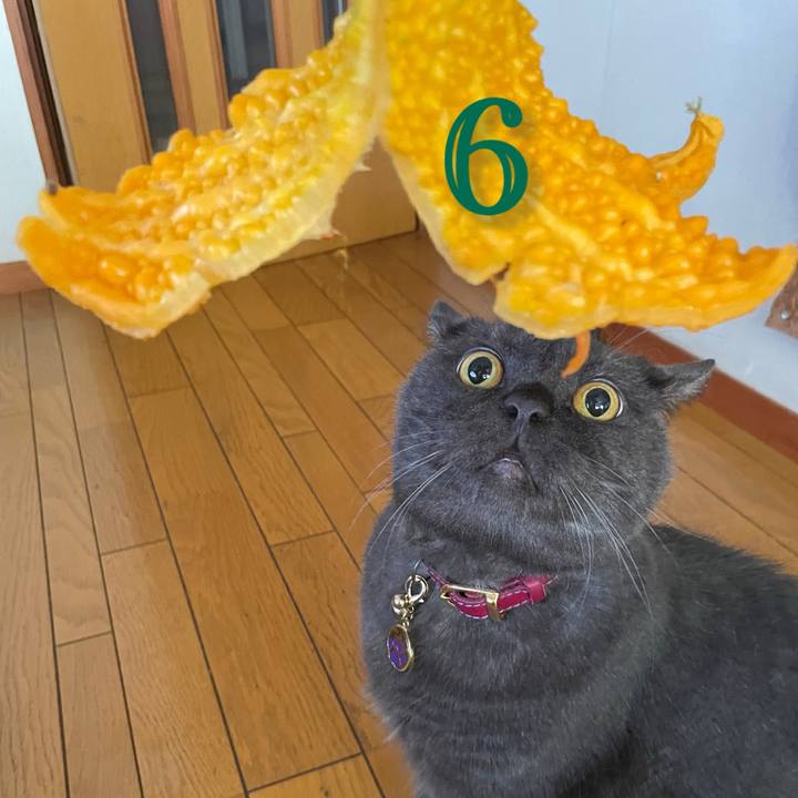 6d48e9dc 7f0d 4bbe ae82 88cf510ef28c 1787701229645