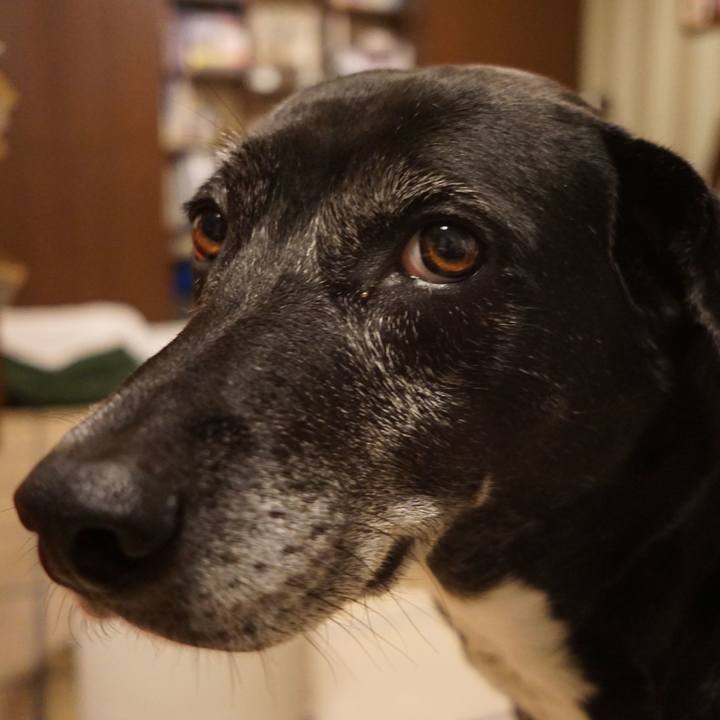 6d492ccd 8452 40fc aff4 2090aea287a7 1762340889820