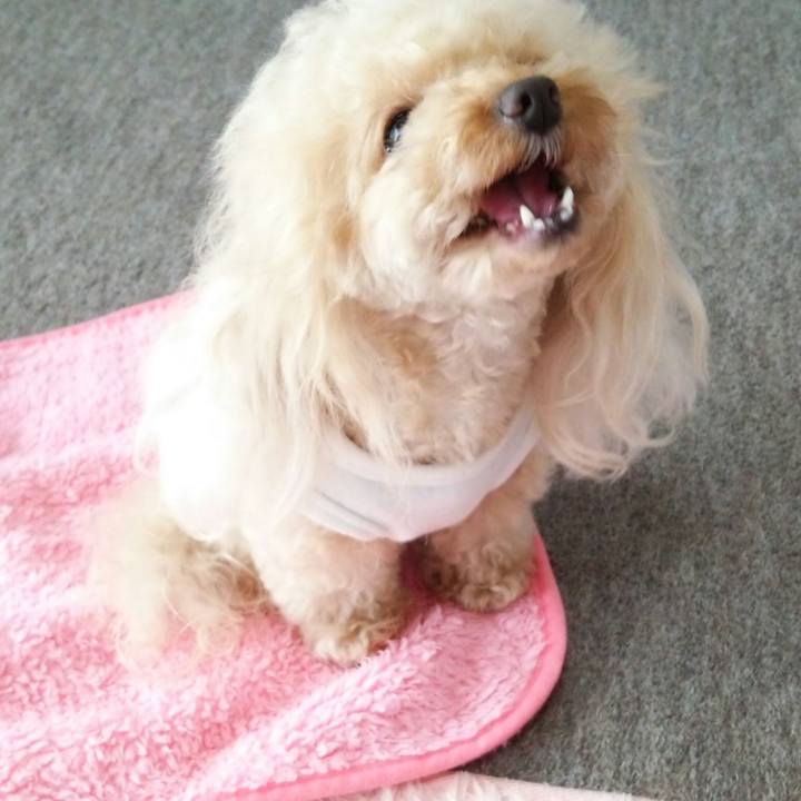 6d494470 ad85 40ee b6c1 f950e1025437 1539340919645