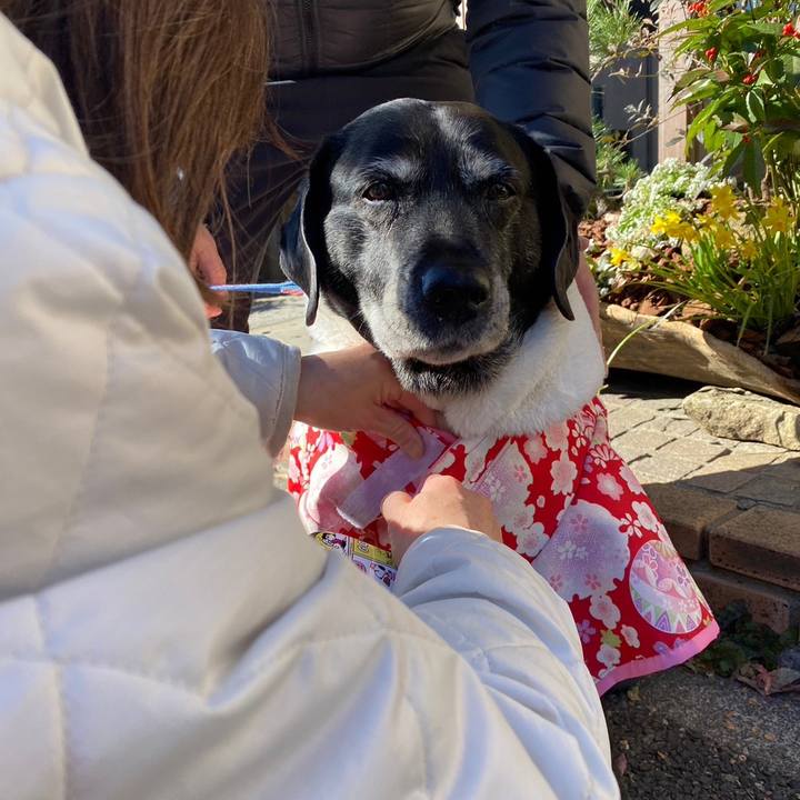 6d496228 ccc6 4dad a571 7b48acffca94 1672546294292