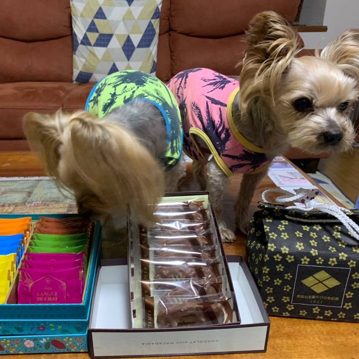 6d499177 dcae 43c7 a23b 8384600bf2cc 1609067266023