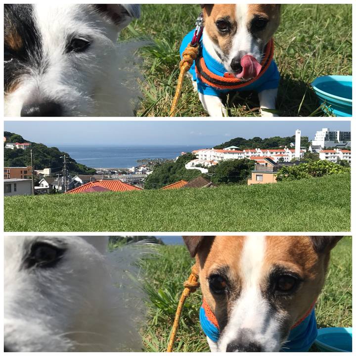 6d499681 ec8a 4a95 afb9 bed65ea580c9 1528071095974