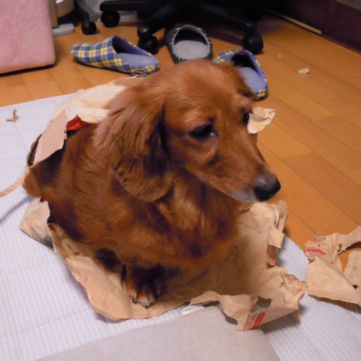 6d499ec2 83ba 4685 89c0 b454917c574c 1549824381694