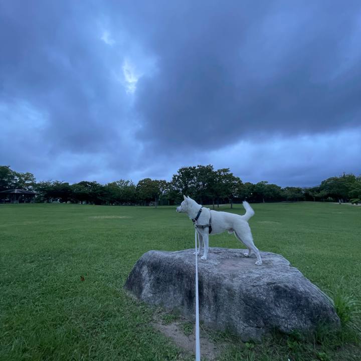 6d49a211 286e 4a23 8bfa 25351465c085 1692046418230