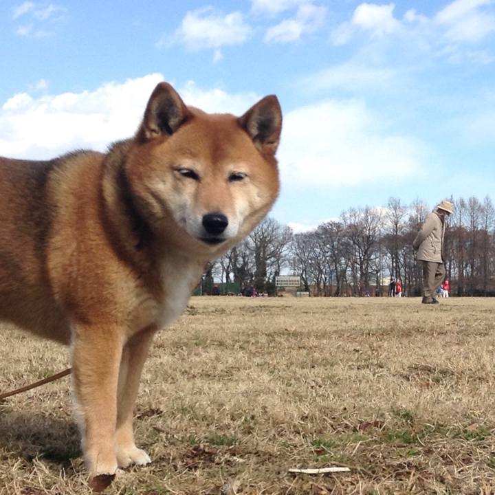 6d49cba4 93ed 4c09 b536 debbfa4fb51c 1518415370418