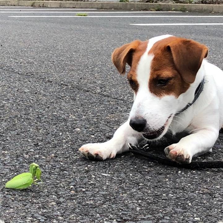 6d49d68a 2c2c 4c00 a3f0 c8e31343a9c0 1537863628505