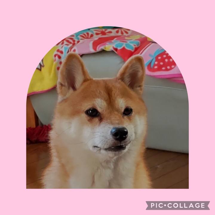 6d49d9fd c212 4a0f b7e3 ced481d183cb 1730680387862