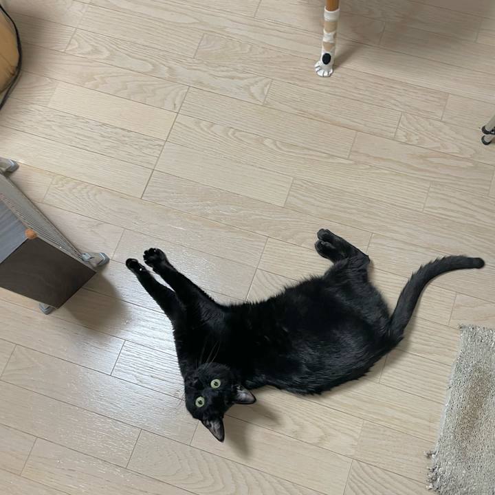 6d49f204 3e0c 4bd0 ab65 20f3d99c286f 1643203483906