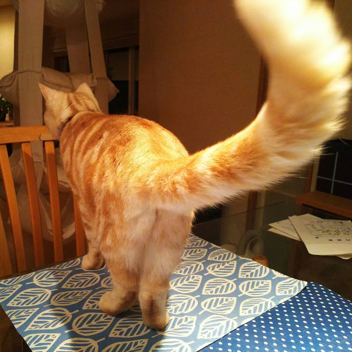 6d4a1c95 362e 43b9 9c14 013023121521 1509882847063