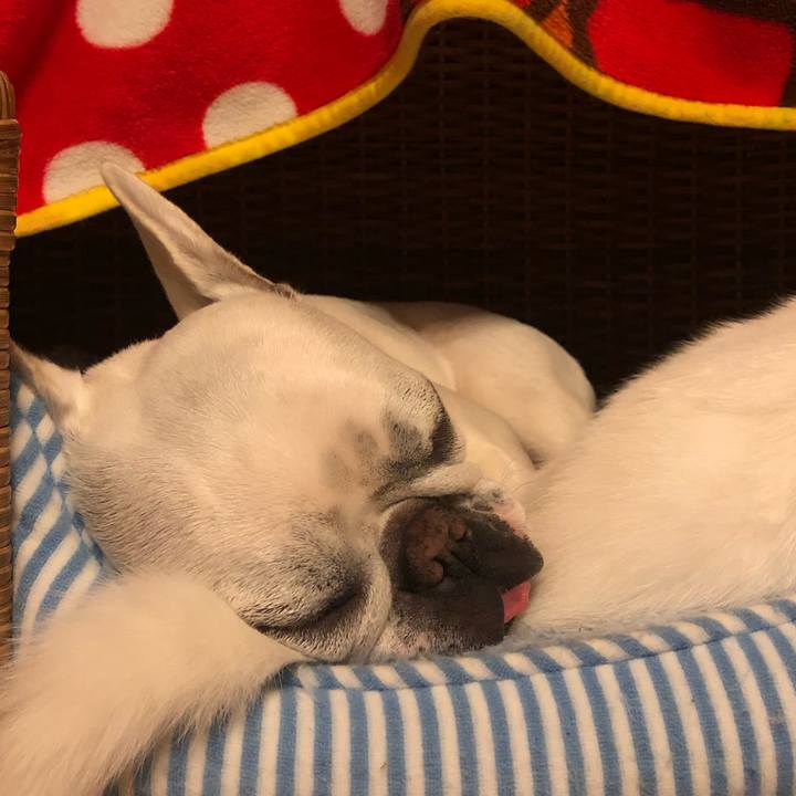 6d4a231f 7759 49dc af70 02003613adb6 1557229294401