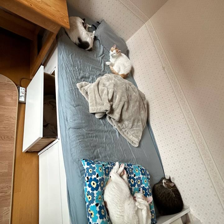 6d4a889e 7a42 4d98 90b1 0950182f2945 1683348669541