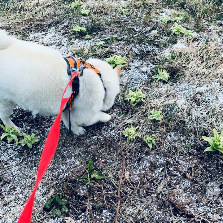 6d4adafa 1d86 49a6 be08 e0c8e995a476 1618434689042