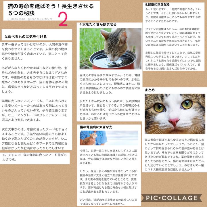 6d4ae771 c8b4 4c20 ab84 e8f6e849a0dd 1537018047847