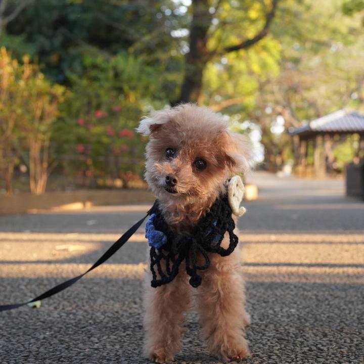 6d4b00e7 3767 4e4b 89f6 8d102f38aad8 1699879206845