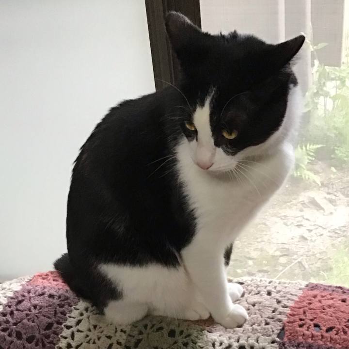 6d4b0412 3ab6 49dd 8307 e7e25f885968 1681468522888