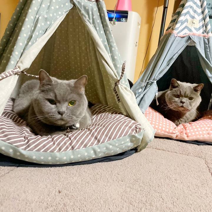 6d4b39ca 9dfc 46a8 91fe cef32ead1361 1773476258413