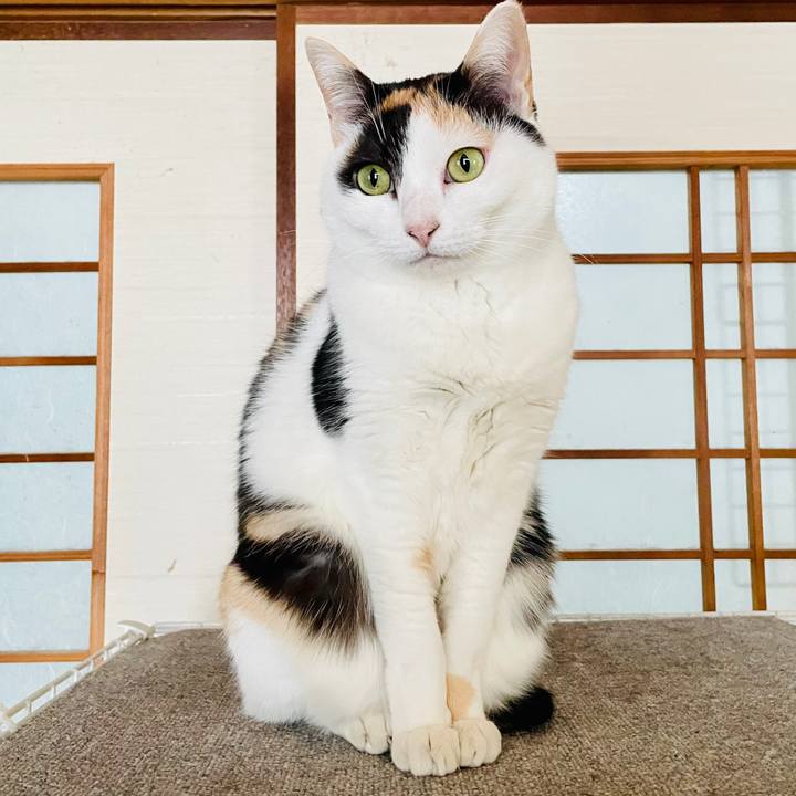 6d4b496c 085a 4d5c ab31 a0e986ed4eb7 1611887660402