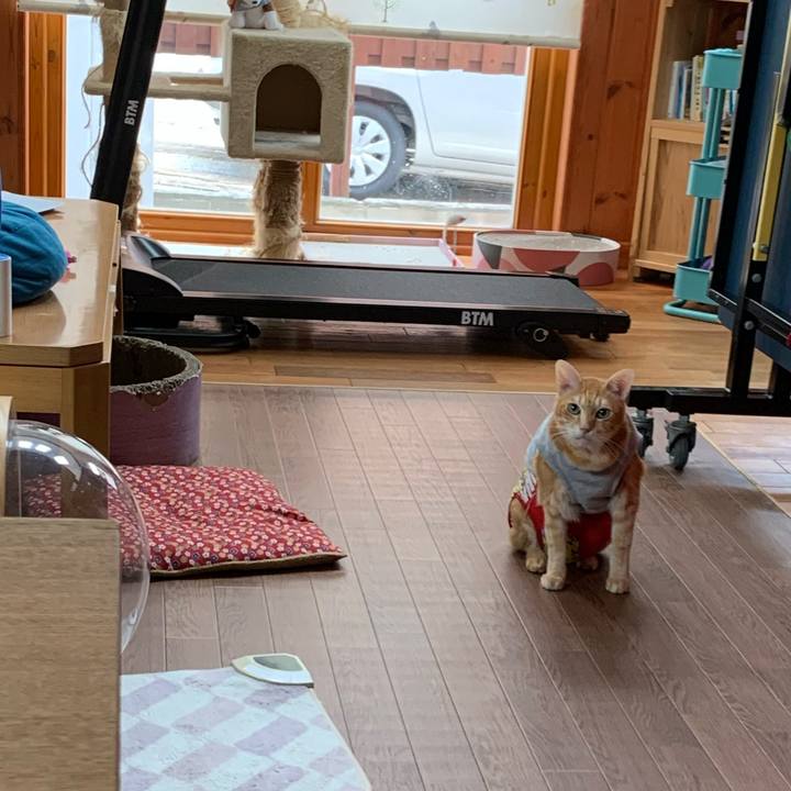 6d4b4a91 06ee 4e5f 91ef 7a76bdbdc49a 1626423793968