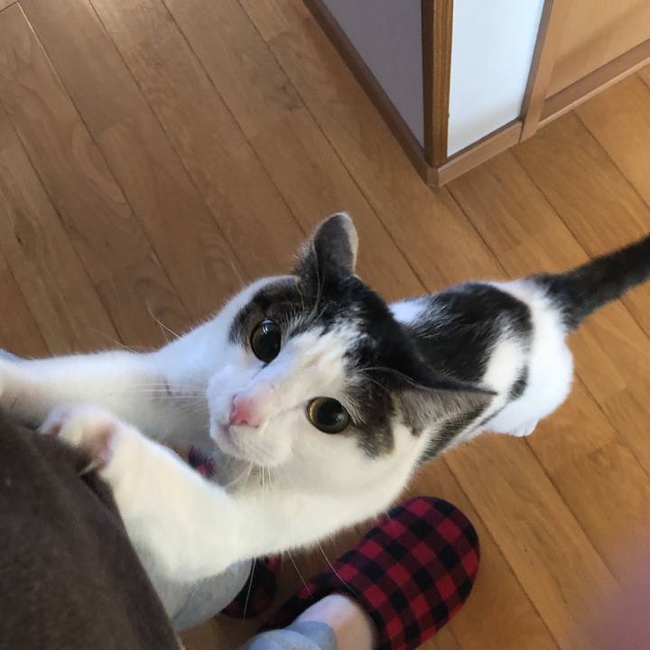 6d4b82ff 2d99 4ed8 b3bf e960b08a8527 1619387577066